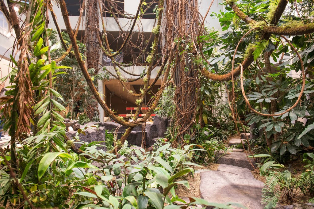 Les plantes tropicales feront partie du décor de la nouvelle volière au Zoo de Bâle.