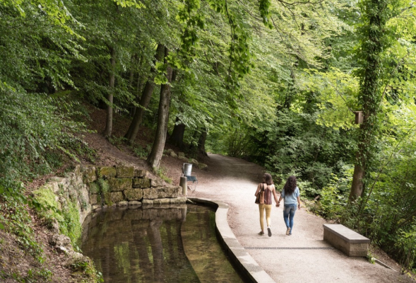 Le Prix Schulthess des jardins 2024 est décerné à la Ville de Berne pour l’assainissement et la mise en valeur du parc Englische Anlagen.