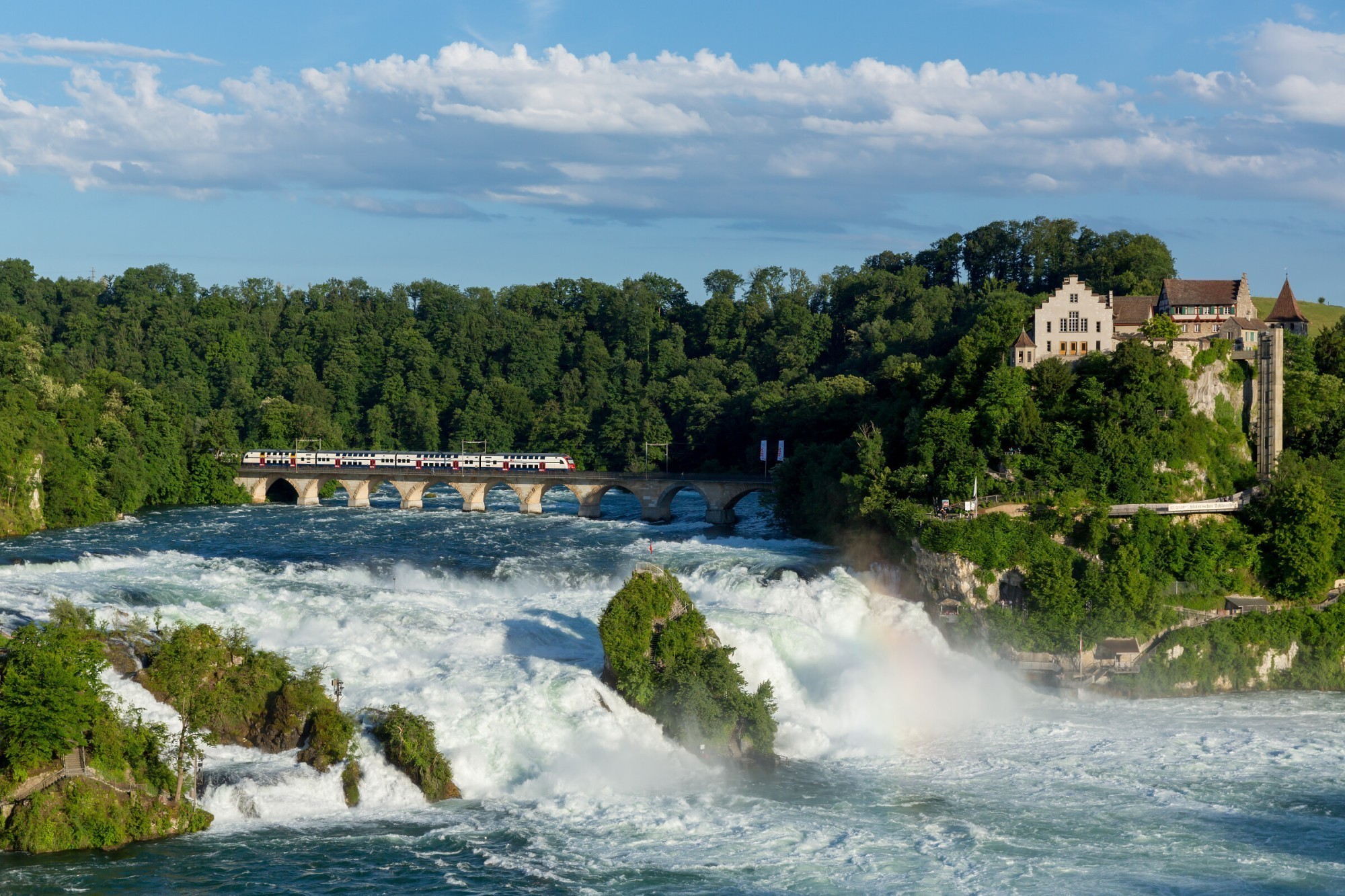 Pro Natura et Bird Life s'opposent à une éventuelle centrale hydroélectrique sur les chutes du Rhin..