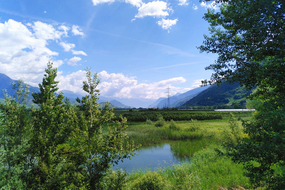 250'000 francs ont été investis pour terminer la seconde étape de la  revitalisation du marais d’Ardon et Chamoson.