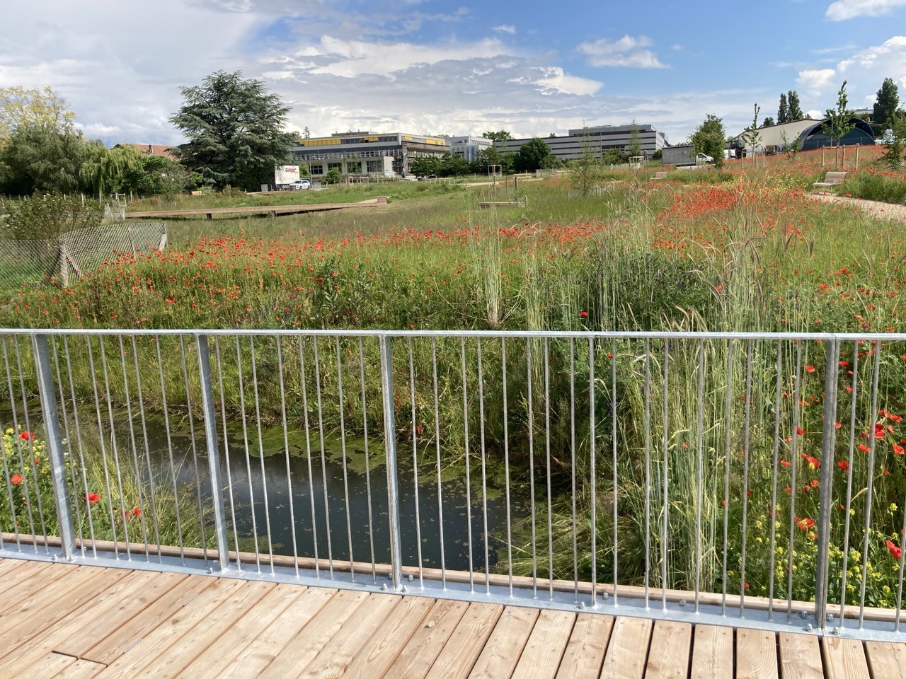 Le parc paysager de la Pallanterie-Sud est un véritable sanctuaire de biodiversité, intégrant des zones humides et la mise à ciel ouvert du ruisseau le Rouelbeau. Il propose un espace de détente tout en promouvant la mobilité douce.