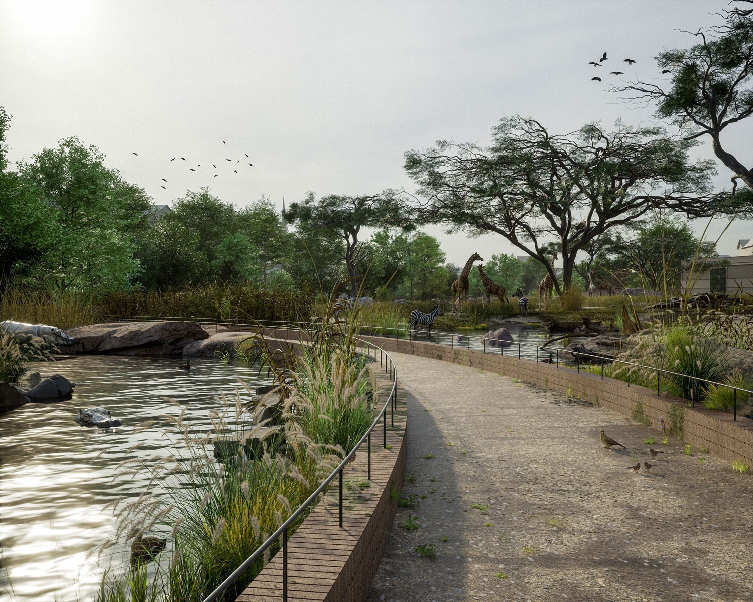 Au zoo de Bâle, le tapis de protection accueillera une savane africaine et «un morceau de côte maritime». Girafes, hippopotames, zèbres, manchots du Cap et otaries y trouveront un nouveau foyer.