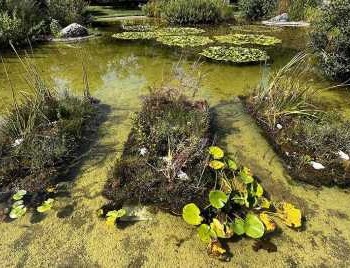 Jardins flottants Hepia