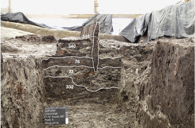 Une rangée de poteaux en chêne datés par dendrochronologie (ici la pointe 388) traverse la couche 340 de la zone de rejet.