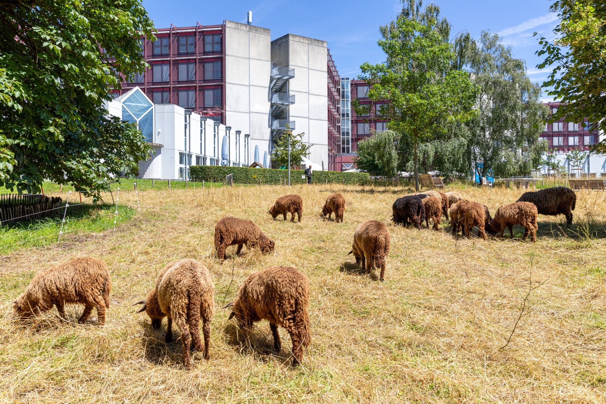 Campus Unil certifié 3