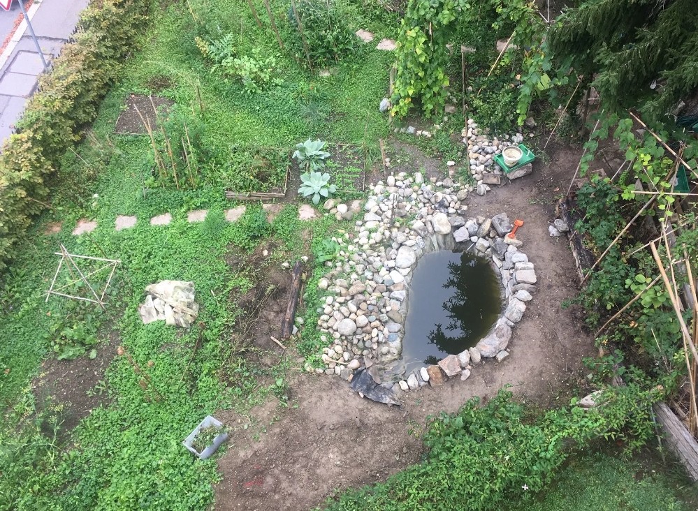 Un étang créé à Bellevaux en 2017, dans le cadre du concours nature en ville.