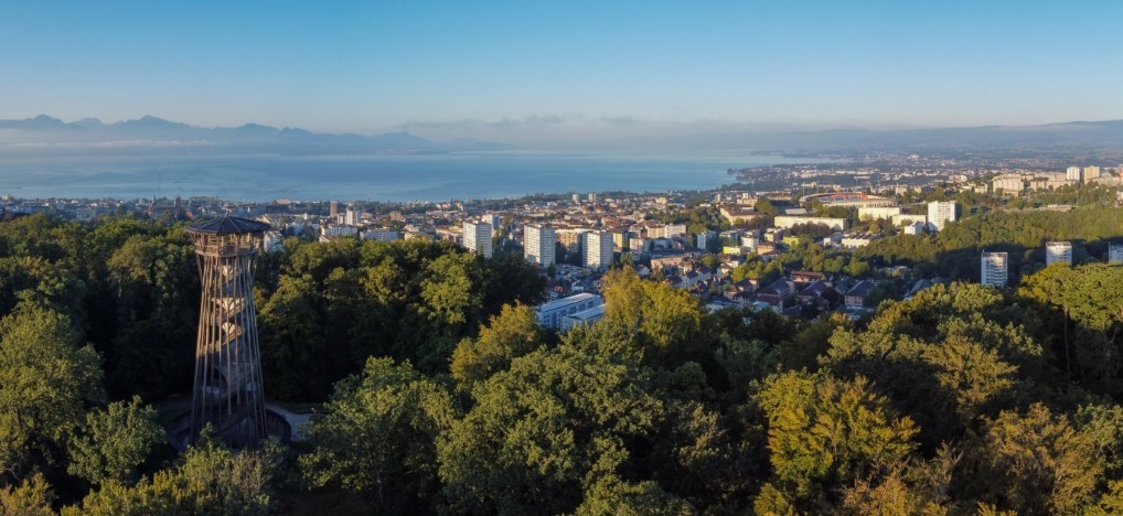 L'expansion de la couverture végétale de la ville de lausanne progresse de manière constante au fil des années.