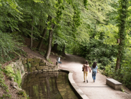 Le Prix Schulthess des jardins 2024 est décerné à la Ville de Berne pour l’assainissement et la mise en valeur du parc Englische Anlagen.