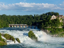 Pro Natura et Bird Life s'opposent à une éventuelle centrale hydroélectrique sur les chutes du Rhin..