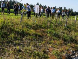 Visite lors de l'aboutissement du projet novateur de la revitalisation de la Plaine de Mauvernai à Lausanne.