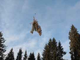 Les travaux de restauration de la tourbière à l’ouest du Prédame incluent des débardages de bois par hélicoptère.