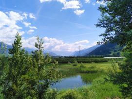 250'000 francs ont été investis pour terminer la seconde étape de la  revitalisation du marais d’Ardon et Chamoson.