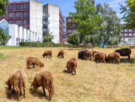 Campus Unil certifié 3