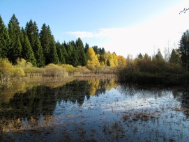 Les réserves naturelles de «La Gruère», «Plain de Saigne» et «La Tourbière de La Chaux-des-Breuleux» doivent être mieux protégées. A cet effet, les périmètres ont été revus et les dispositions de protection réactualisées et renforcées.