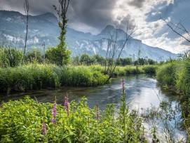 La révision devait permettre d'adapter la loi cantonale sur la protection de la nature aux prescriptions fédérales, comme illustré par la renaturation de Hüsenbach, dans la commune de Meiringen.